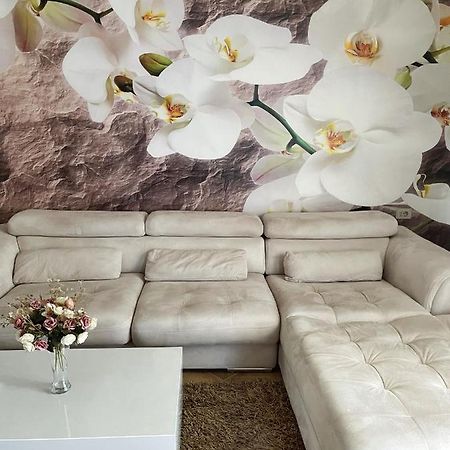 Sunkissed Centre Apartment Avlonya Dış mekan fotoğraf