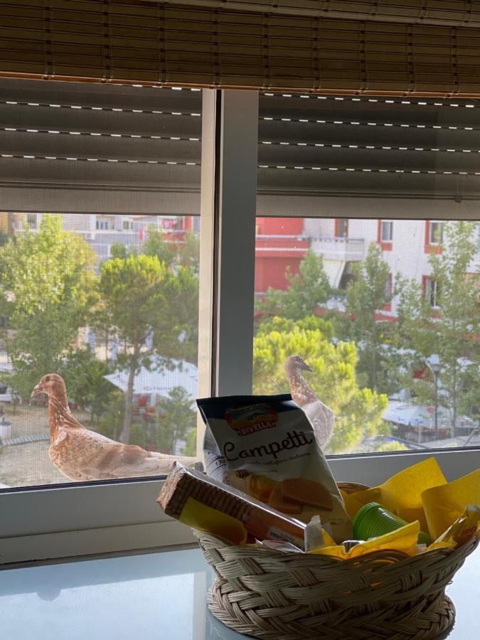 Sunkissed Centre Apartment Avlonya Dış mekan fotoğraf